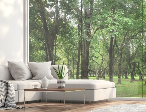 What You Should Know About Biophilic Home Design