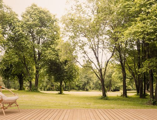Inspired Ideas to Upgrade Your Backyard