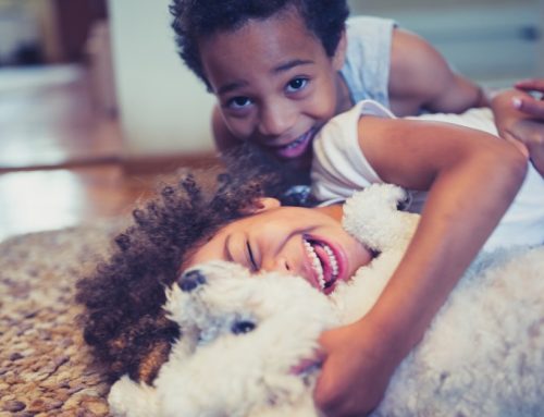 Pros and Cons of Raising Kids With Pets