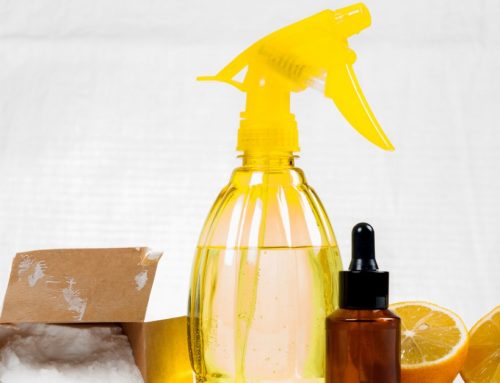 10 Painless Changes for a Greener Home