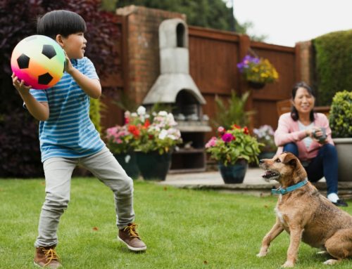 Adding a Dog to the Family? Here Are Some Expenses to Consider