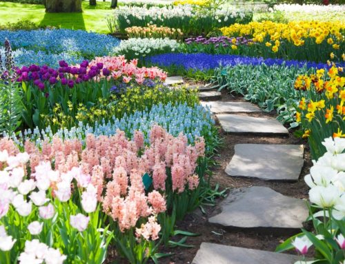 Why You Should Invest in Landscape Design