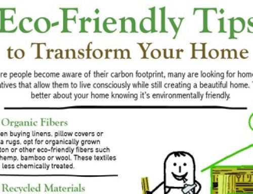 Eco-Friendly Tips to Transform Your Home