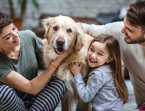 Pets Can Teach Kids Valuable Life Lessons