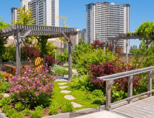 A Guide to Outdoor Urban Spaces