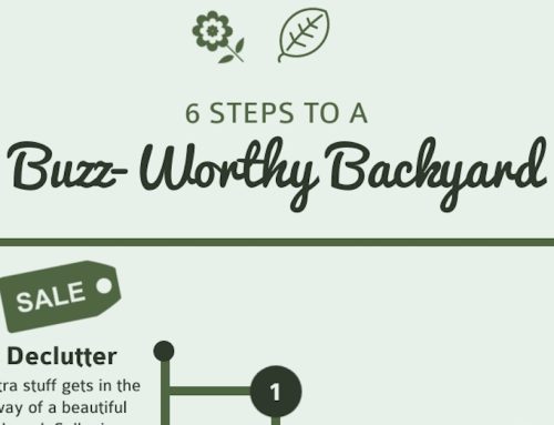 6 Steps to a Buzz-Worthy Backyard