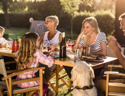 Preventing Mosquito and Tick Bites in Your Yard